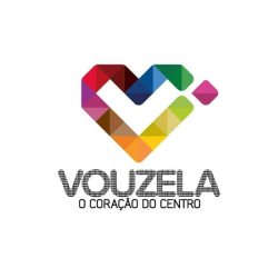 C&acirc;mara Municipal de Vouzela